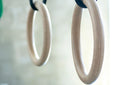 Gymnastics Rings V2 - THENX